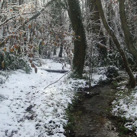 בית נופש Bosque Albite *