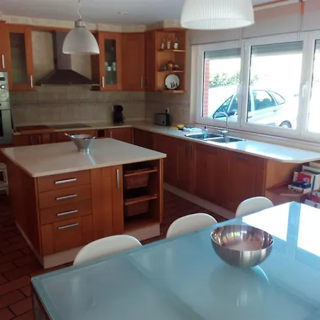 Bosque Albite Llanera (Asturias)