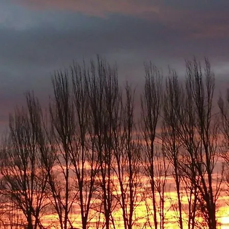 Bosque Albite 度假居 *