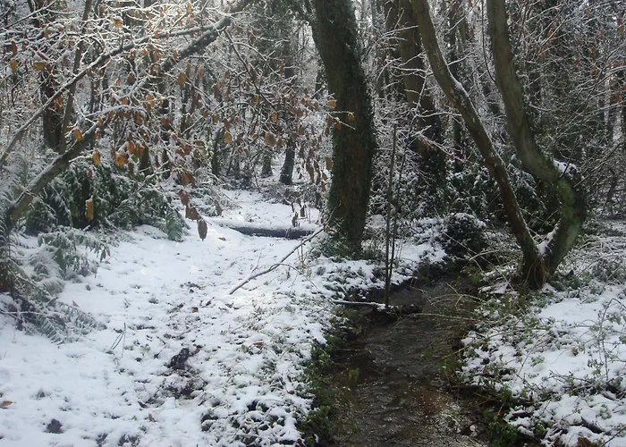 Сasa de vacaciones Bosque Albite *